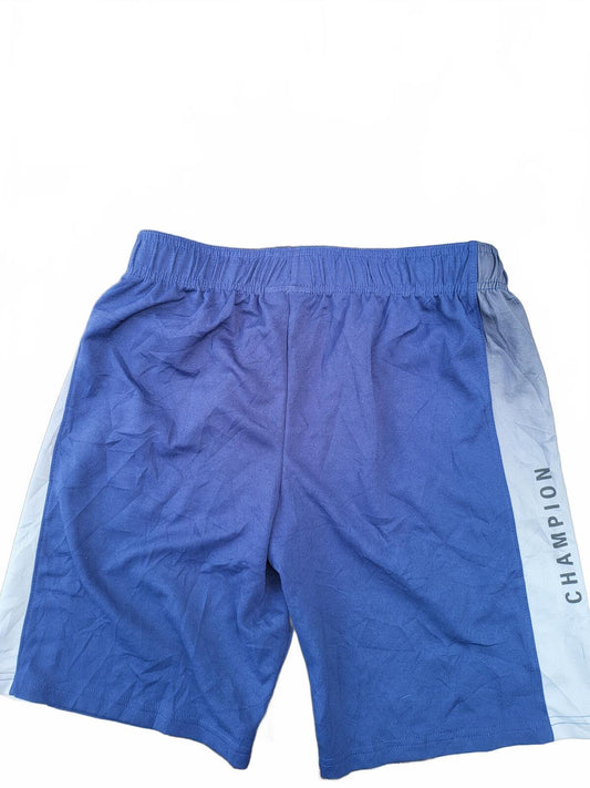 Champion Blue and Light Blue Athletic Shorts XXL