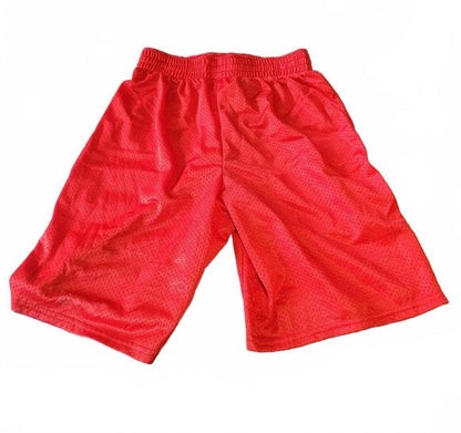 Under Armour Boys/Youth Large Basketball Shorts - Red - AXE Varsity Graphic