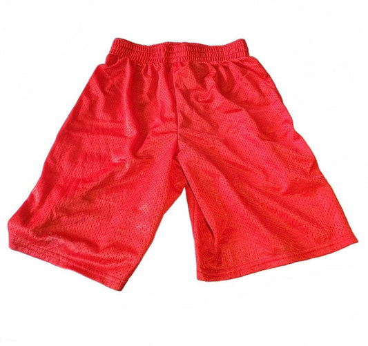 Under Armour Boys/Youth Large Basketball Shorts - Red - AXE Varsity Graphic