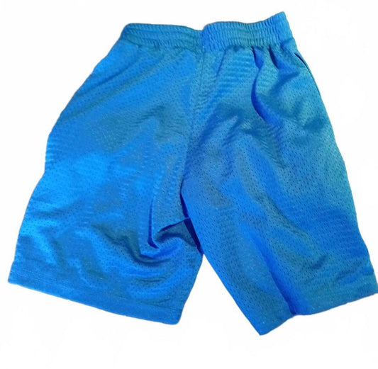 Champion Blue Mesh Sports Shorts - Small