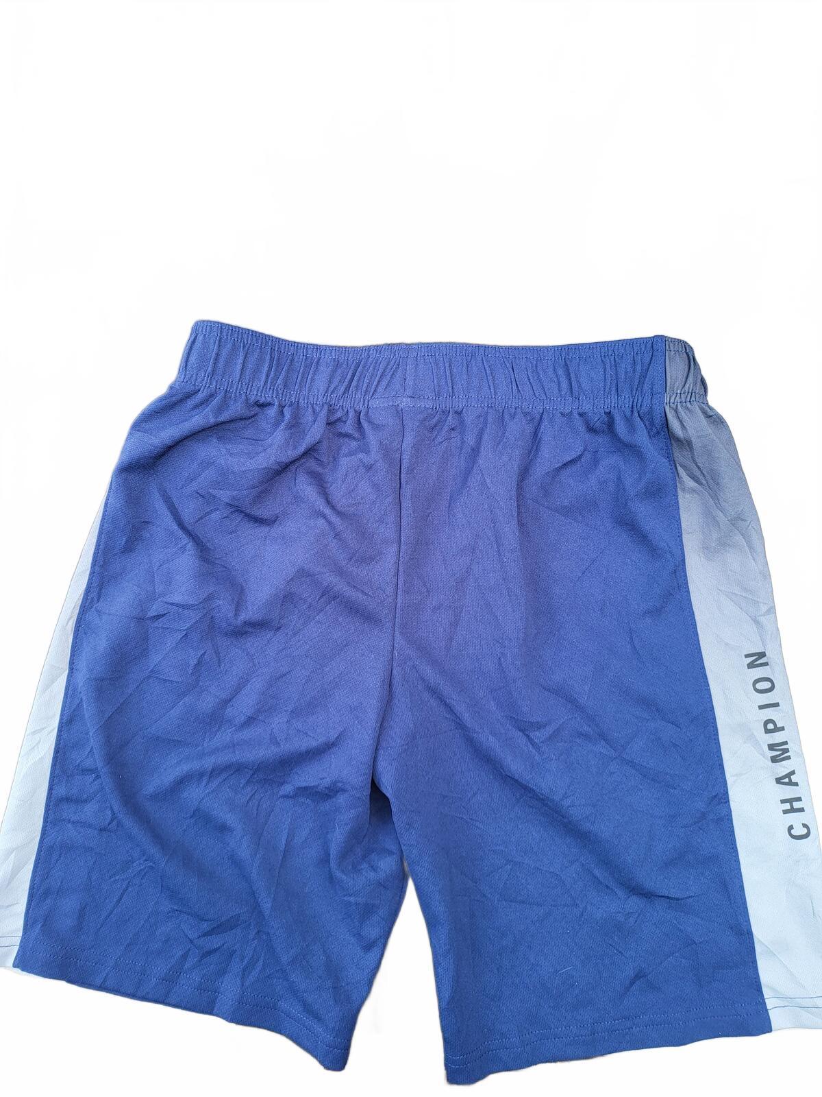 Champion Blue and Light Blue Athletic Shorts XXL