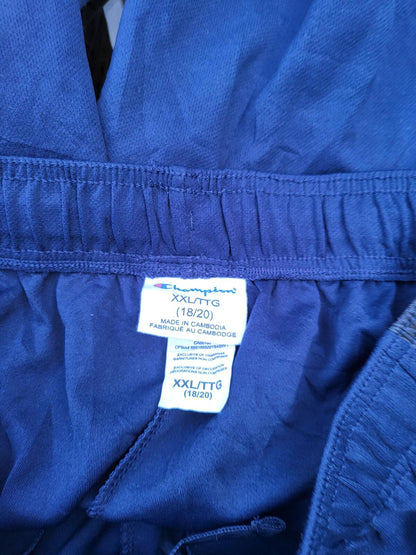 Champion Blue and Light Blue Athletic Shorts XXL
