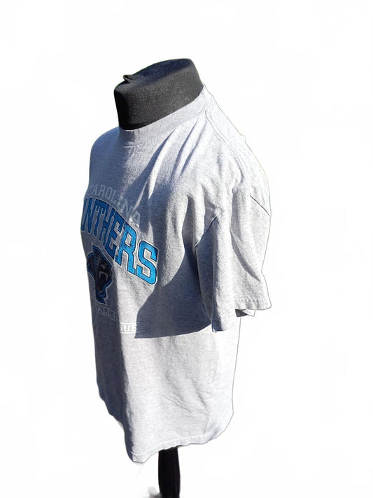Carolina Panthers Supporters Mens Large L Grey Graphic Team T-Shirt